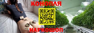 крисы Кулебаки