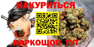 крисы Кулебаки