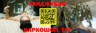 крисы Кулебаки