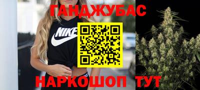 крисы Кулебаки