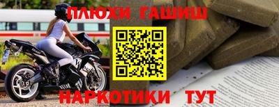 крисы Кулебаки
