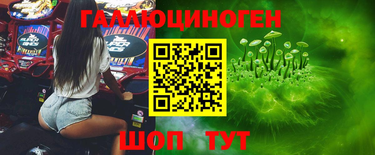 Псилоцибиновые грибы GOLDEN TEACHER Екатеринбург