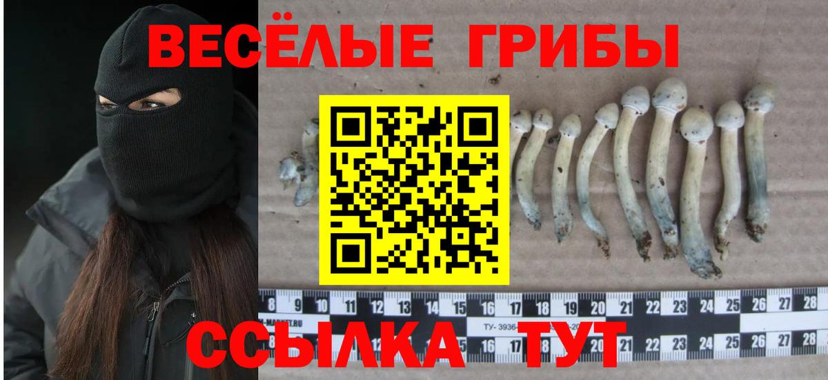 Галлюциногенные грибы прущие грибы  Псилоцибиновые грибы мицелий  Вход с VPN  Екатеринбург 